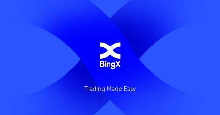 Revisão do BingX